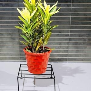 elated strong stylish four legs design metal square shape stands for plant pot flower pot stand for planter indoor and outdoor (square stand ) (set of 6)