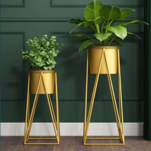 Elated Metal Gold Flower Pot (Pack of 2)